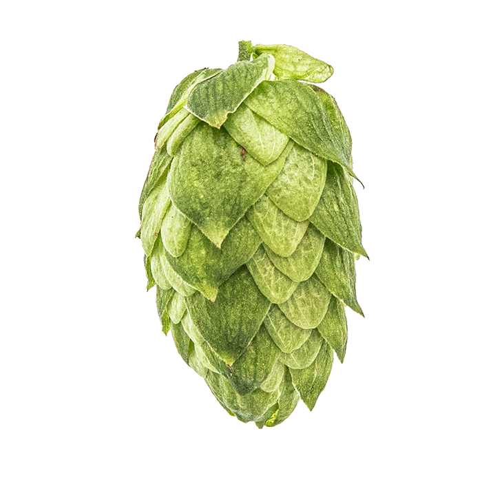 Yakima Chief US Amarillo Hop Pellets