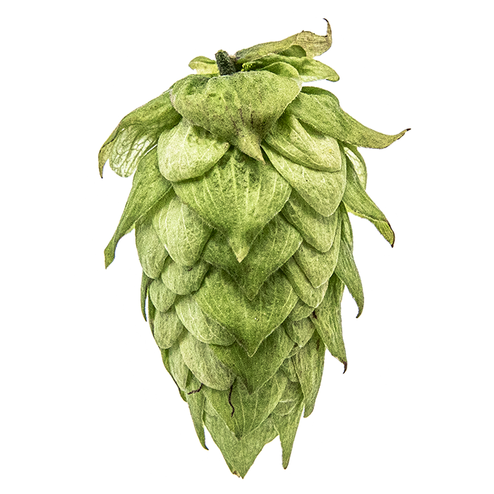 Yakima Chief US Centennial Hop Pellets