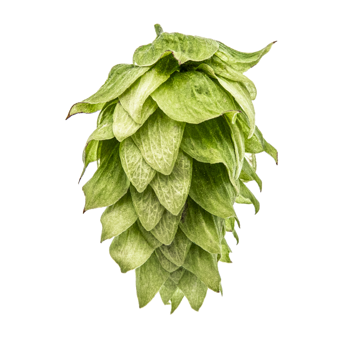 Yakima Chief US Chinook Hop Pellets