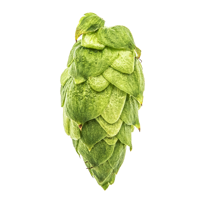 Yakima Chief US Citra Hop Pellets
