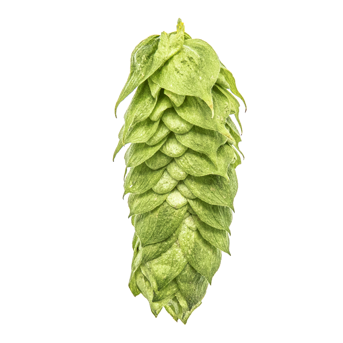 Yakima Chief US Comet Hop Pellets