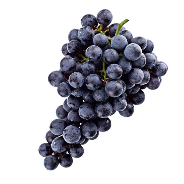 Great West Brewing Soda Extract Grape