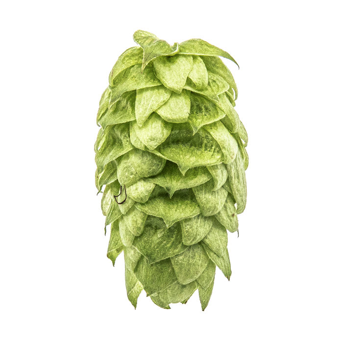 Yakima Chief US Mosaic Hop Pellets