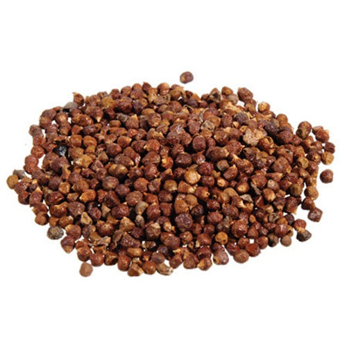 Paradise Seed (Aframomum Melegueta)