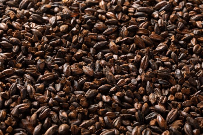 Briess Chocolate Malt Grain