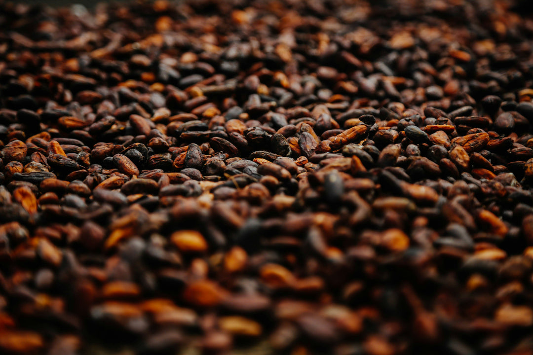 Brewer's Best Cacao Nibs