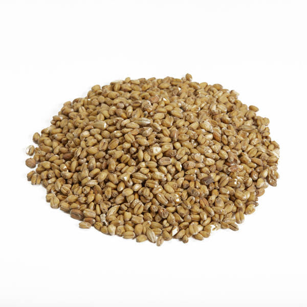 Canada Malting Co. White Wheat Malted Grain 55lb Bag
