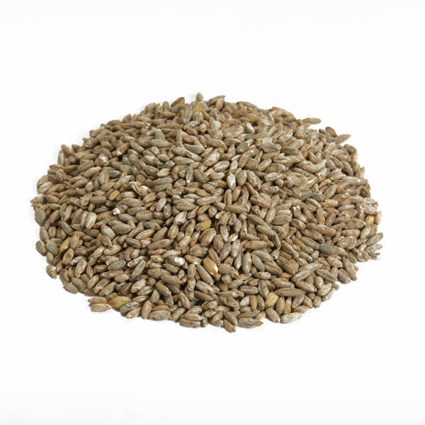 Canada Malting Co. Century Rye Malted Grain 55lb Bag