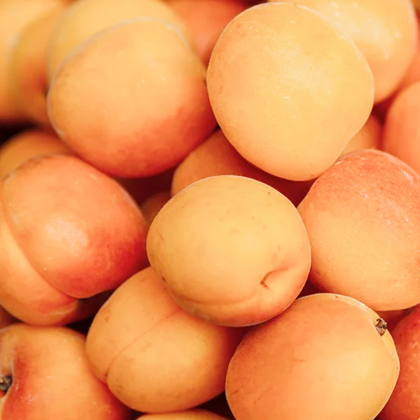Natural Apricot Flavoring